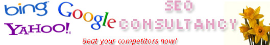 Lead in Search Engines - Use our SEO Expertise